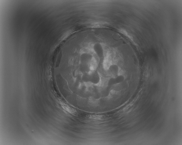 X0000072521211200607141149