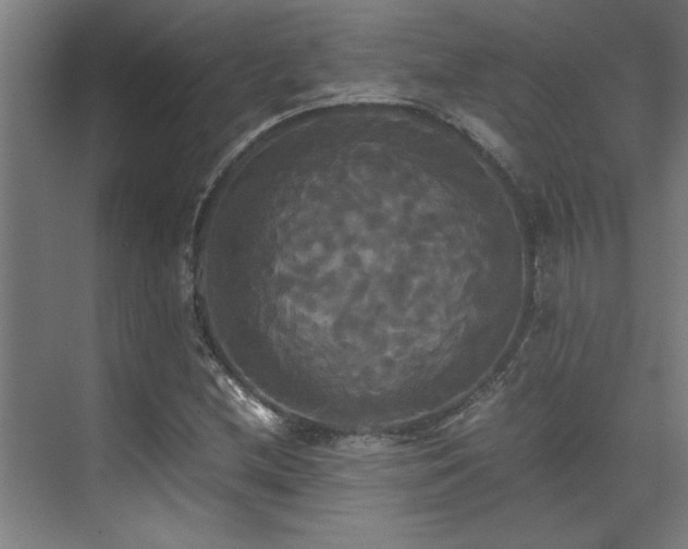 X0000072521212200607141149