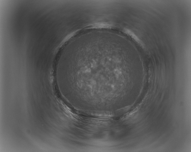 X0000072521213200607141149