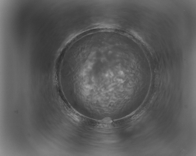 X0000072521215200607141149