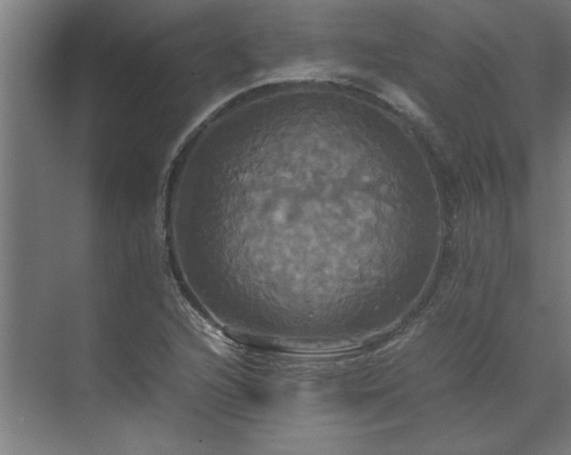 X0000072521216200607141149