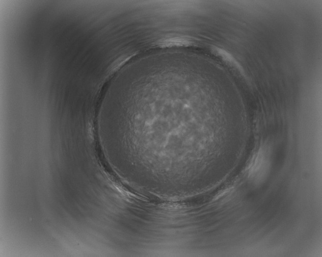 X0000072521217200607141149