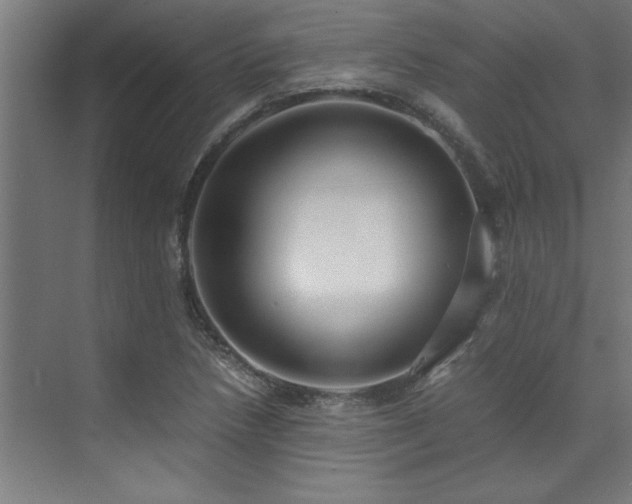 X0000072521218200607141149