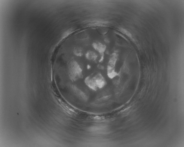 X0000072521219200607141149