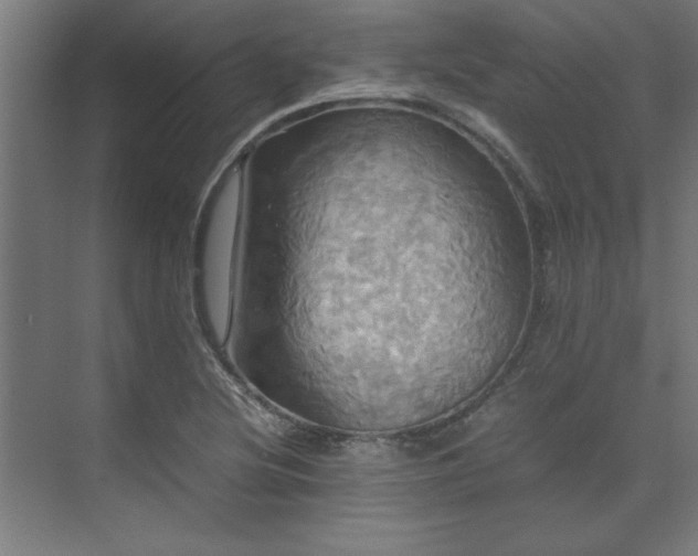 X0000072521220200607141149