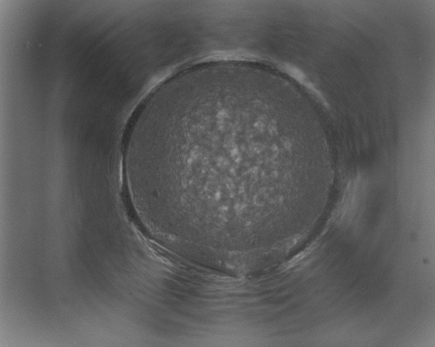 X0000072521221200607141149