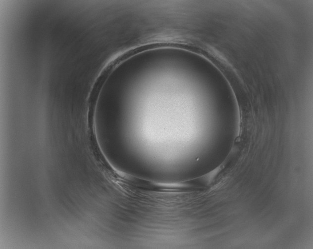 X0000072521222200607141149