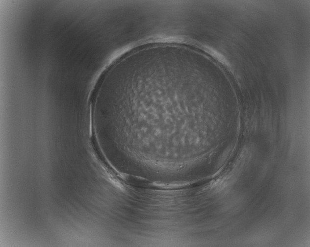 X0000072521223200607141149