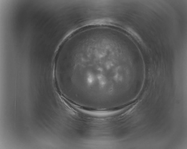 X0000072521224200607141149