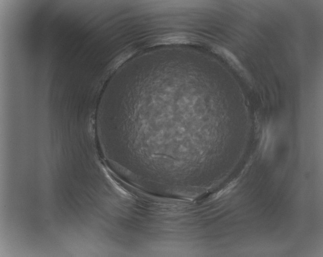 X0000072521225200607141149