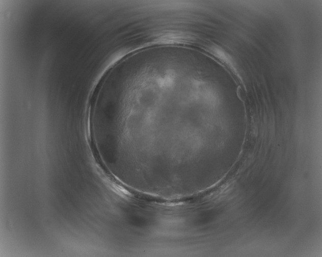 X0000072521227200607141149