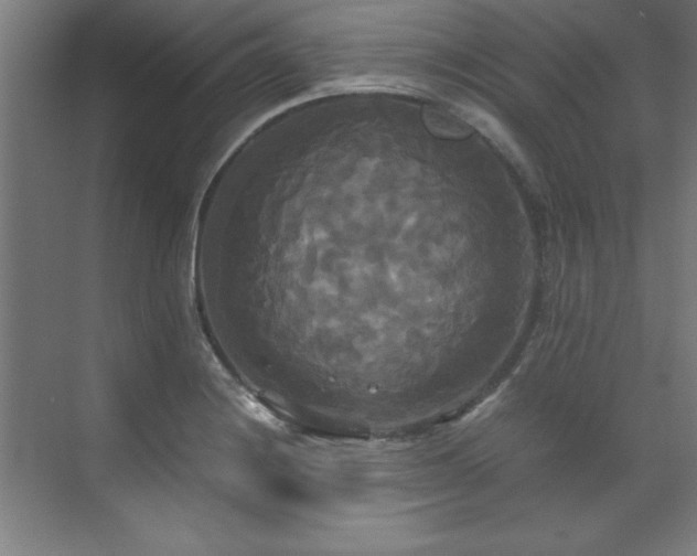 X0000072521228200607141149