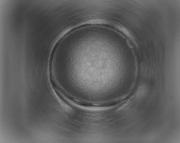 X0000072521229200607141149