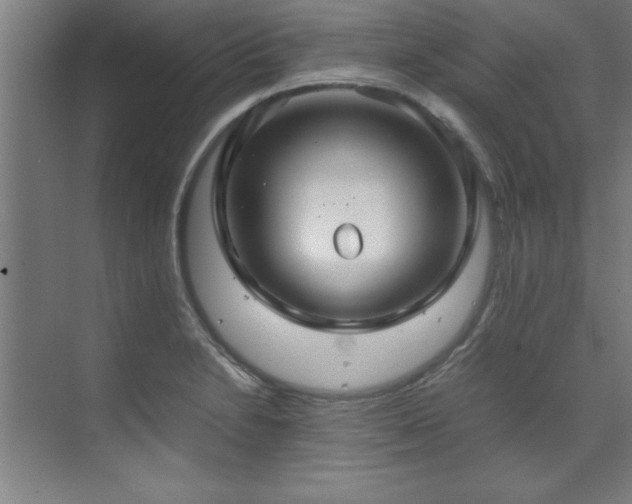 X0000072521230200607141149