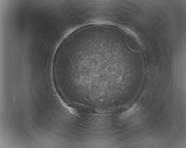 X0000072521231200607141149