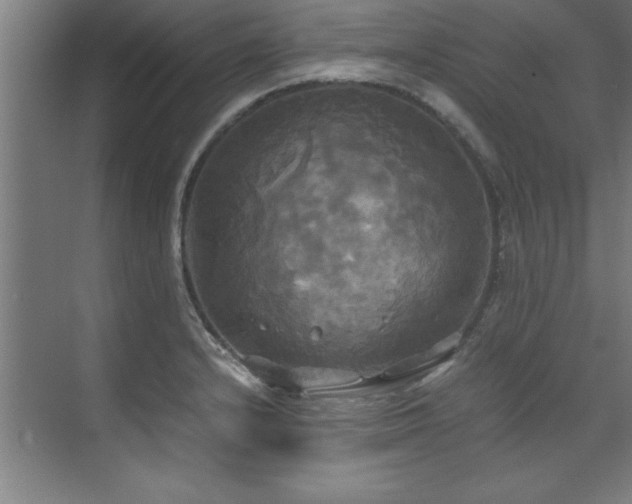 X0000072521232200607141149