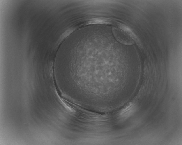 X0000072521233200607141149