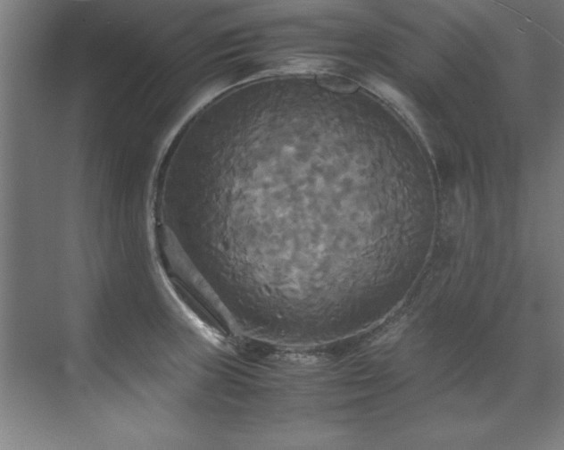 X0000072521235200607141149