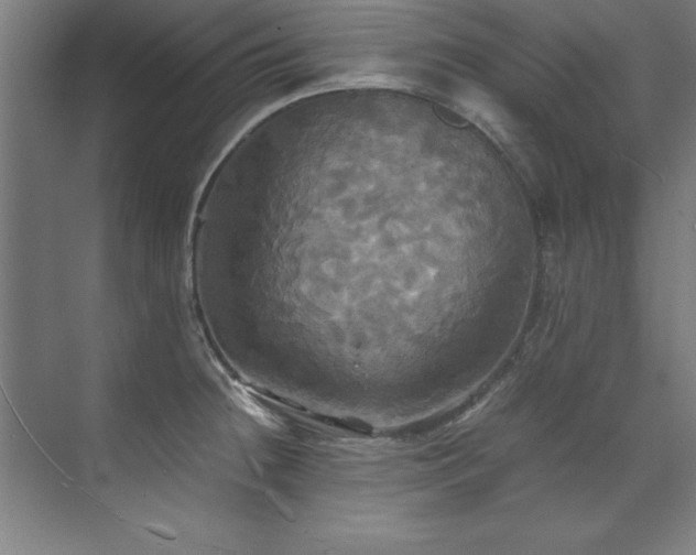 X0000072521236200607141149