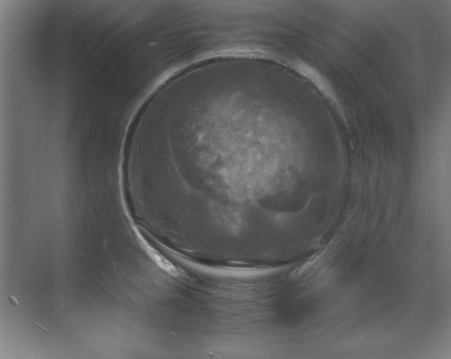 X0000072521237200607141149