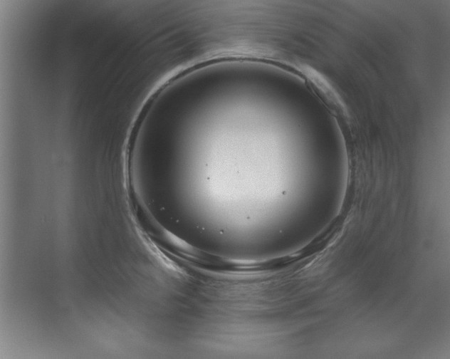 X0000072521238200607141149