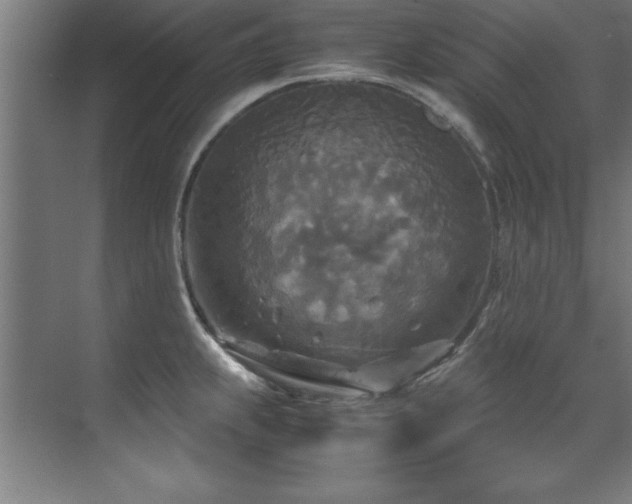 X0000072521239200607141149