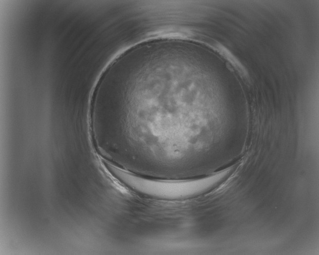 X0000072521240200607141149