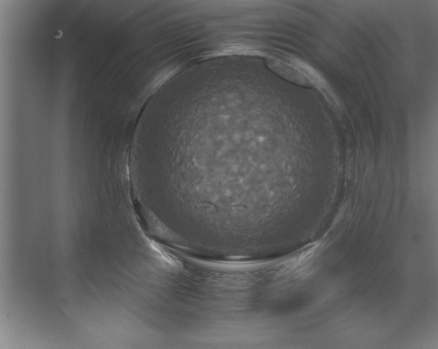 X0000072521241200607141149