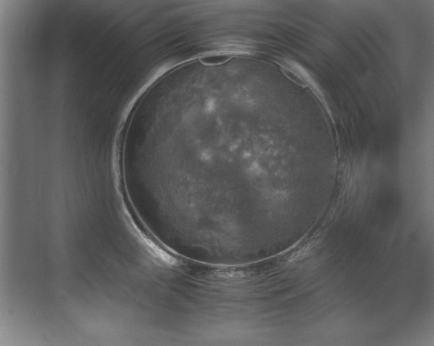 X0000072521243200607141149