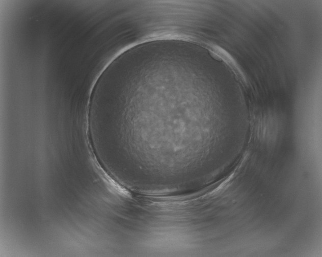 X0000072521244200607141150