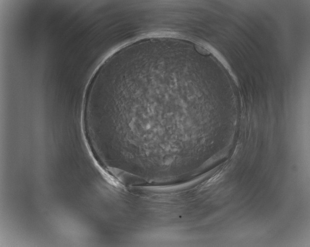 X0000072521245200607141150