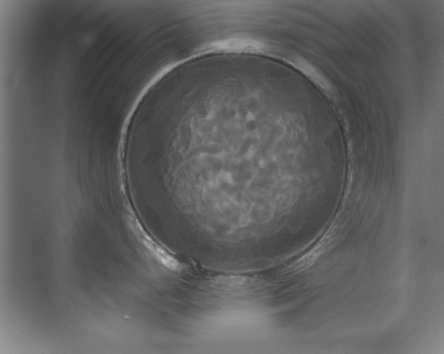 X0000072521248200607141150