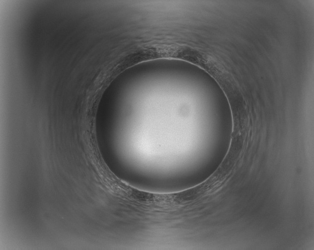 X0000072521249200607141149