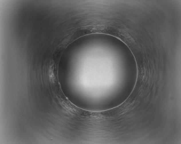 X0000072521250200607141149