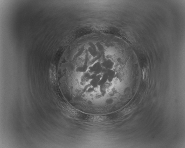 X0000072521251200607141149