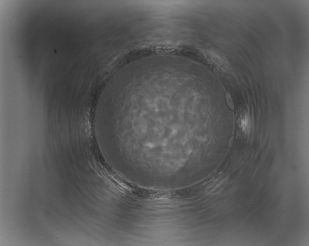 X0000072521252200607141149