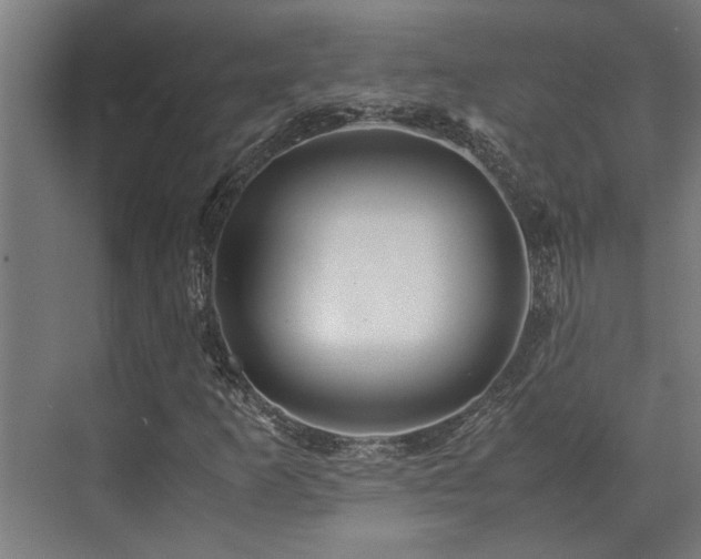 X0000072521253200607141149