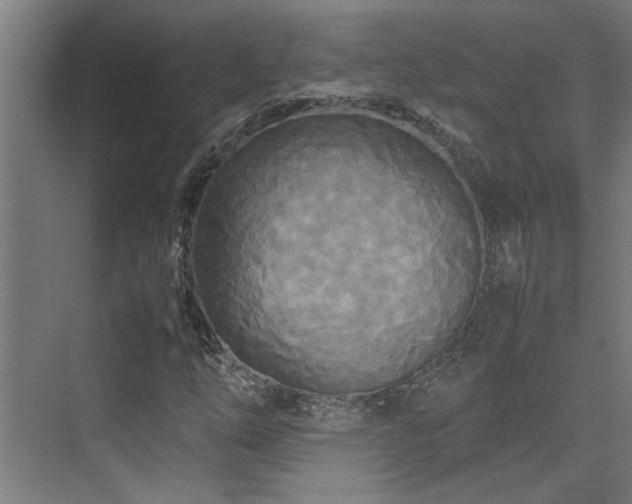 X0000072521254200607141149