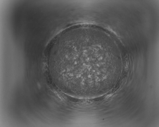 X0000072521255200607141149