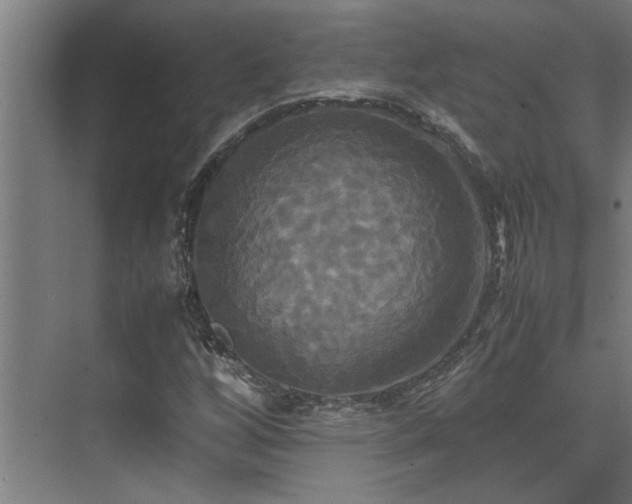 X0000072521256200607141149