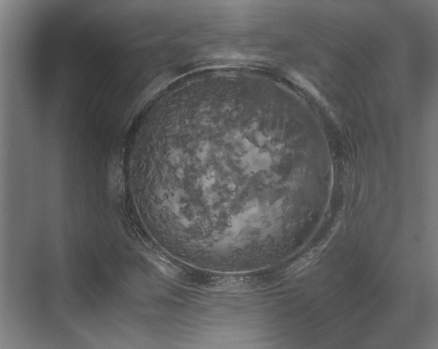 X0000072521259200607141149