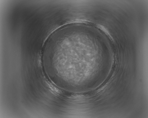 X0000072521260200607141149