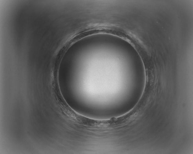 X0000072521261200607141149