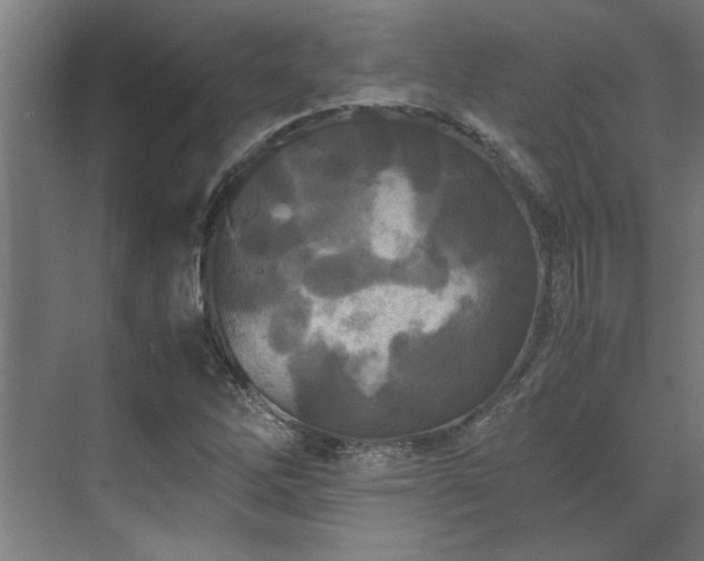 X0000072521262200607141149