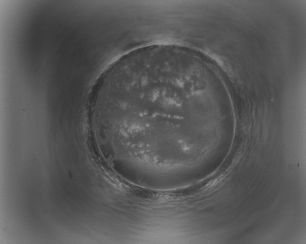 X0000072521263200607141149