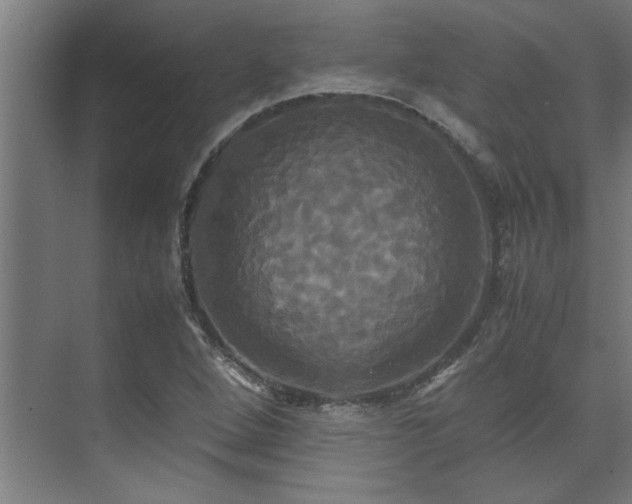 X0000072521264200607141149