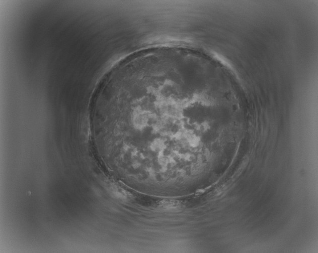 X0000072521267200607141148