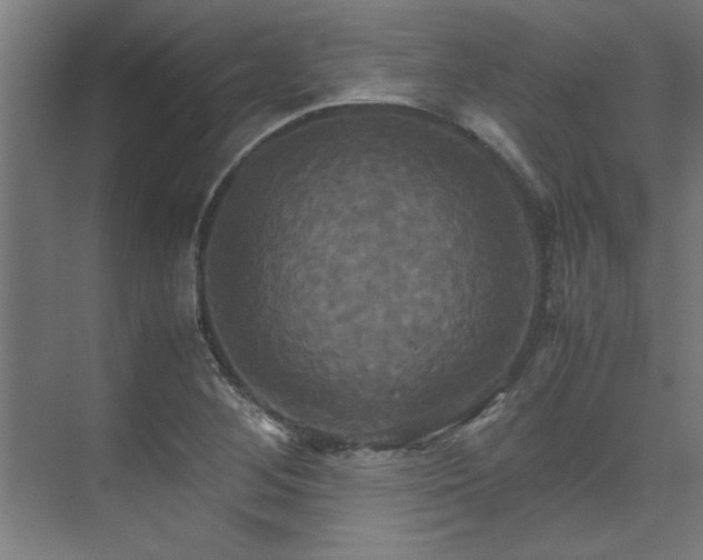 X0000072521268200607141148