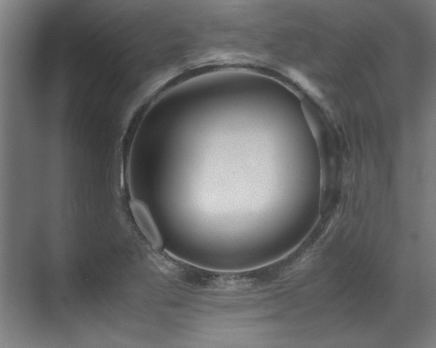 X0000072521269200607141148