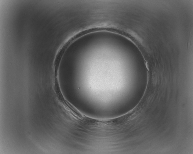 X0000072521270200607141148